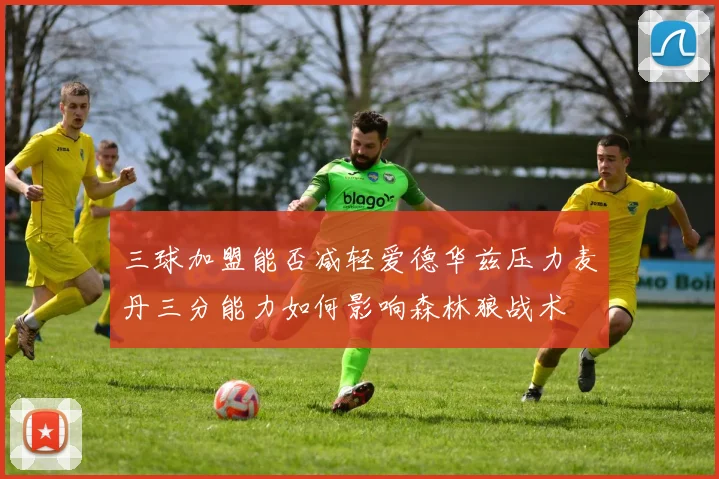 三球加盟能否减轻爱德华兹压力麦丹三分能力如何影响森林狼战术