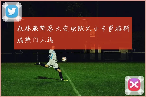 森林狼阵容大变动欧文小卡萨格斯成热门人选