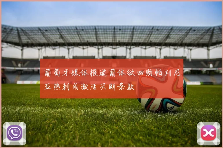 葡萄牙媒体报道葡体欲回购帕利尼亚热刺或激活买断条款