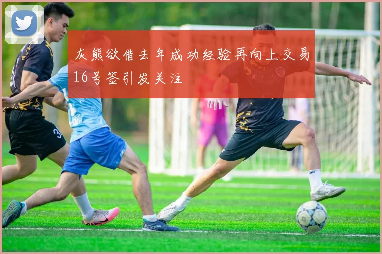 灰熊欲借去年成功经验再向上交易16号签引发关注