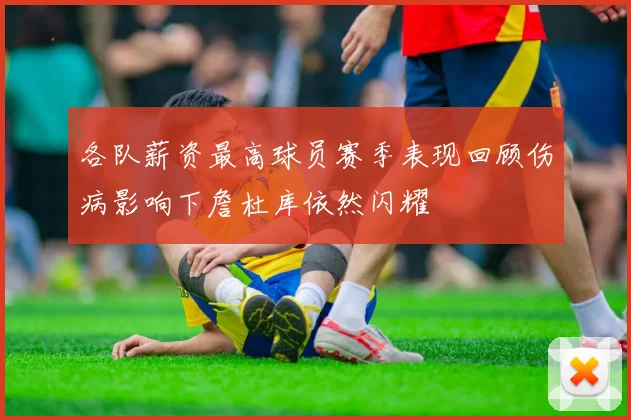 各队薪资最高球员赛季表现回顾伤病影响下詹杜库依然闪耀